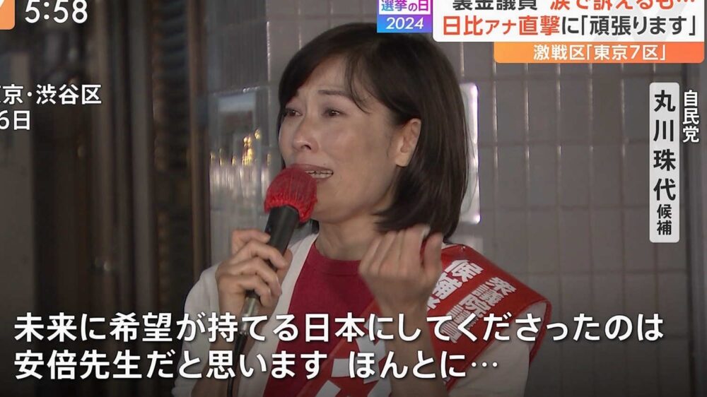 丸川珠代が嫌いと言われる5つの理由！涙の訴えや裏金問題が原因？