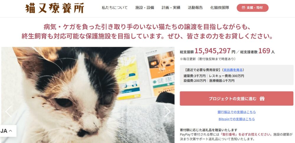 Z李運営の保護猫カフェは今後どうなる？猫シェルターも続投可能？