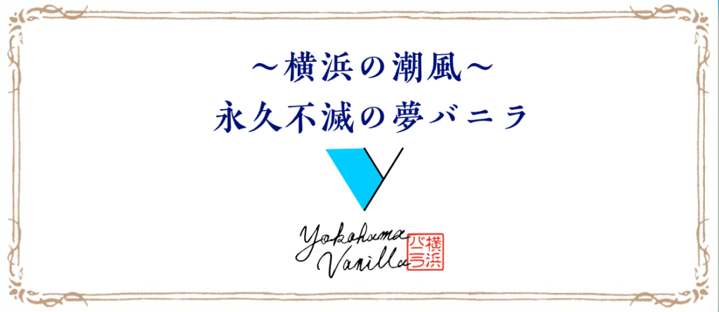 横浜バニラって何？いつから発売？髙橋優斗考案のお土産スイーツ!?