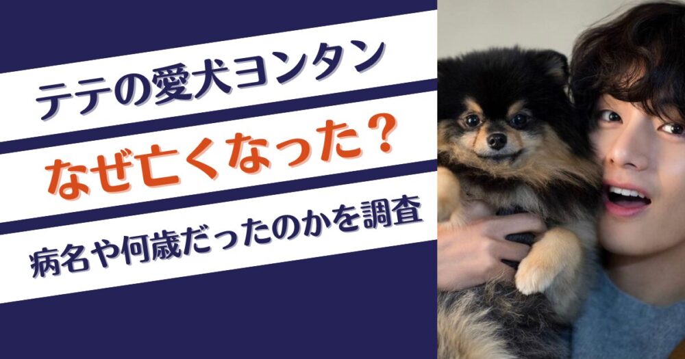 テテの愛犬ヨンタンはなぜ亡くなった？病名や何歳だったのかを調査