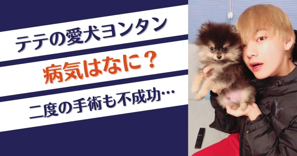 テテの愛犬ヨンタンの病気はなに？現在何歳でいつから飼ってる？