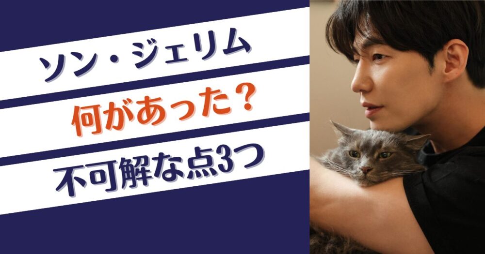 ソン・ジェリムの自殺の理由は？何があった？不可解な点3つ